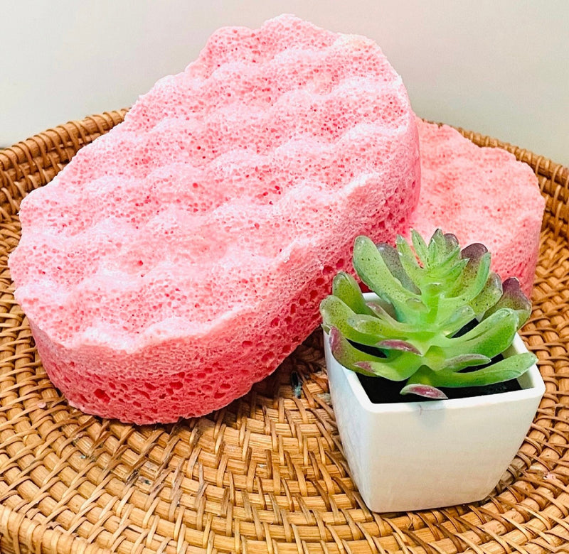 Soap Sponges